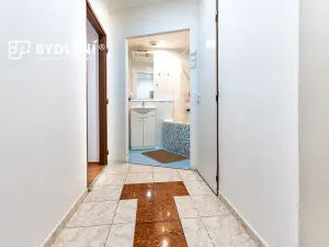 Prodej bytu 2+1, Ústí nad Labem, Střekovské nábřeží, 60 m2