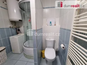 Pronájem bytu 3+1, Lošany, 80 m2