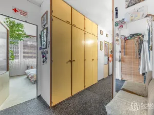 Prodej bytu 3+1, Praha - Krč, Horáčkova, 62 m2