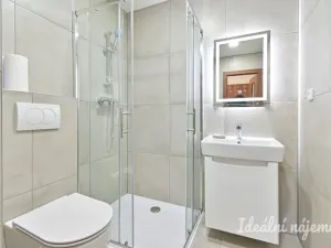 Pronájem bytu 1+1, Vyškov - Vyškov-Předměstí, Trpínky, 41 m2