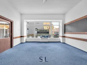 Prodej rodinného domu, Doksy, Komenského, 412 m2