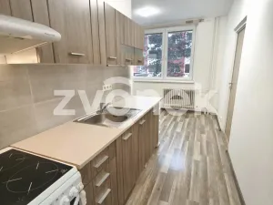 Pronájem bytu 2+1, Kroměříž, Vachova, 52 m2