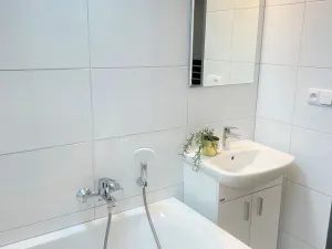 Pronájem bytu 2+kk, Borovany - Trocnov, 46 m2