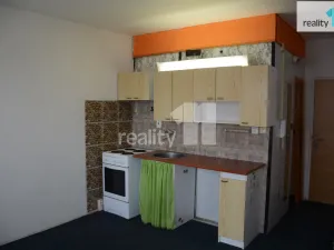 Pronájem bytu 1+kk, Nové Sedlo, Revoluční, 19 m2