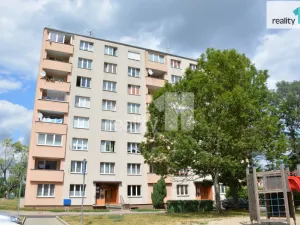 Pronájem bytu 1+kk, Nové Sedlo, Revoluční, 19 m2