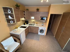 Pronájem bytu 1+1, Most, Marš. Rybalka, 35 m2