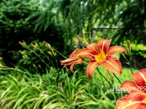 Prodej chaty, Děčín - Děčín VII-Chrochvice, Mendelova, 17 m2