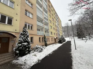 Prodej bytu 2+1, Chomutov, Václavská, 52 m2