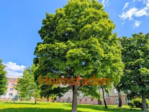 Pronájem bytu 3+1, Havířov - Město, Jožky Jabůrkové, 60 m2