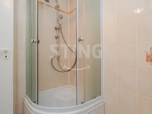 Prodej komerční nemovitosti, Ostrava - Slezská Ostrava, Bukovanského, 310 m2