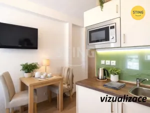 Pronájem bytu 1+kk, Všemina, 24 m2