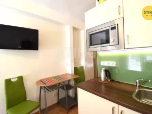Pronájem bytu 1+kk, Všemina, 24 m2