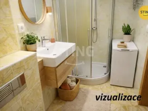 Pronájem bytu 1+kk, Všemina, 24 m2