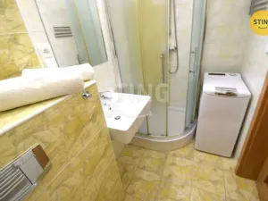 Pronájem bytu 1+kk, Všemina, 24 m2