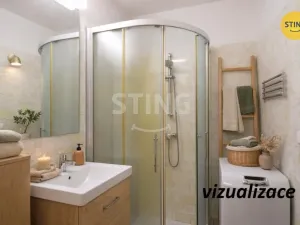 Pronájem bytu 1+kk, Všemina, 24 m2