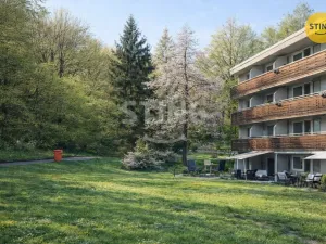 Pronájem bytu 1+kk, Všemina, 24 m2