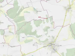 Dražba lesa, Koloveč, 703 m2