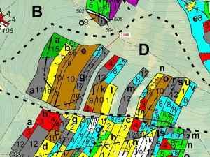 Dražba lesa, Vilice, 1105 m2