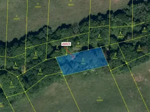 Dražba lesa, Píšť, 1130 m2