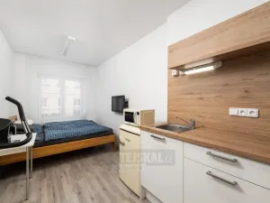 Prodej bytu 1+kk, České Budějovice - České Budějovice 3, Skuherského, 23 m2