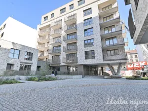 Pronájem bytu 1+kk, Brno, Bratislavská, 40 m2