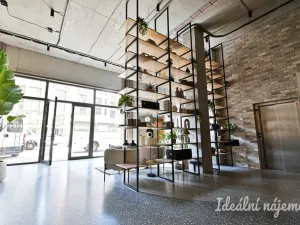 Pronájem bytu 1+kk, Brno, Bratislavská, 40 m2