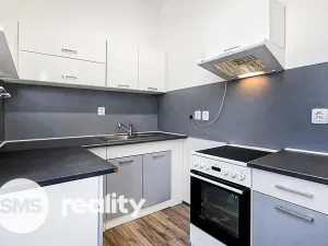 Pronájem bytu 1+kk, Opava - Město, Nákladní, 43 m2