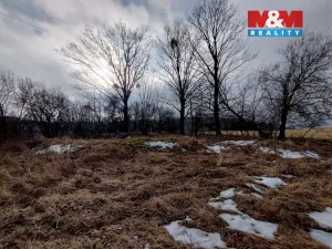 Prodej louky, Budišov nad Budišovkou, 6470 m2