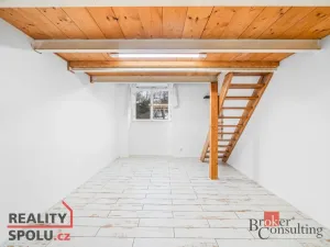 Prodej bytu 3+kk, Praha - Vinohrady, Bělehradská, 60 m2