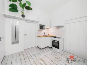 Prodej bytu 3+kk, Praha - Vinohrady, Bělehradská, 60 m2