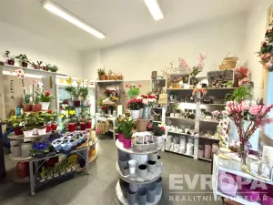 Pronájem obchodního prostoru, Praha - Vinohrady, Libická, 56 m2