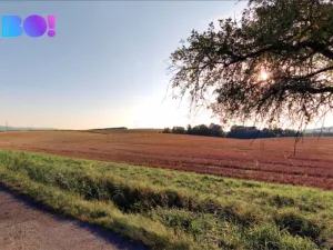 Prodej pole, Rakov, 6461 m2