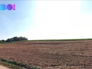 Prodej pole, Josefov, 9970 m2