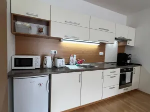 Pronájem bytu 2+kk, Brno, Sochorova, 60 m2