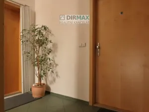 Pronájem bytu 1+kk, Plzeň, Pod Všemi svatými, 25 m2