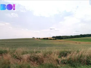 Prodej pole, Kudlovice, 5104 m2