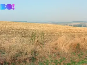 Prodej pole, Uherský Brod, 23786 m2