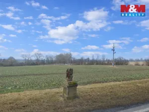 Prodej pozemku pro bydlení, Hostomice - Radouš, 1248 m2