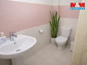 Prodej rodinného domu, Nová Ves u Chotěboře, 110 m2