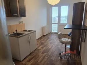 Pronájem bytu 1+kk, Opava - Předměstí, Haškova, 14 m2