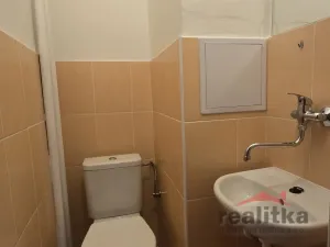 Pronájem bytu 1+kk, Opava - Předměstí, Haškova, 14 m2