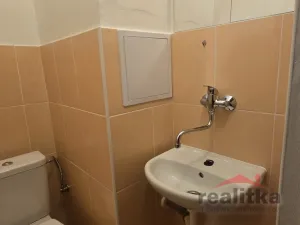 Pronájem bytu 1+kk, Opava - Předměstí, Haškova, 14 m2