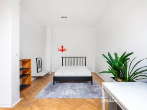 Pronájem bytu 3+kk, Praha - Staré Město, Valentinská, 114 m2