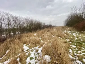 Prodej zahrady, Cholina, 850 m2