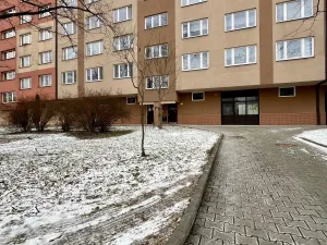 Pronájem bytu 3+1, Ostrava - Hrabůvka, Josefa Kotase, 68 m2