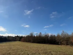 Prodej lesa, Poleň, 11901 m2