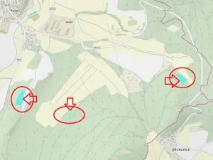 Prodej lesa, Poleň, 11901 m2