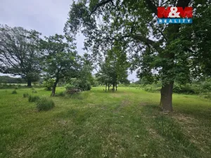 Prodej lesa, Tuřice, 7985 m2