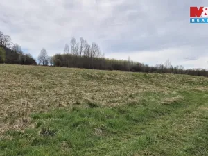 Prodej louky, Česká Kamenice - Dolní Kamenice, 22628 m2