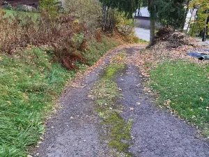 Prodej pozemku pro bydlení, Rychnov u Jablonce nad Nisou, Kokonínská, 1706 m2